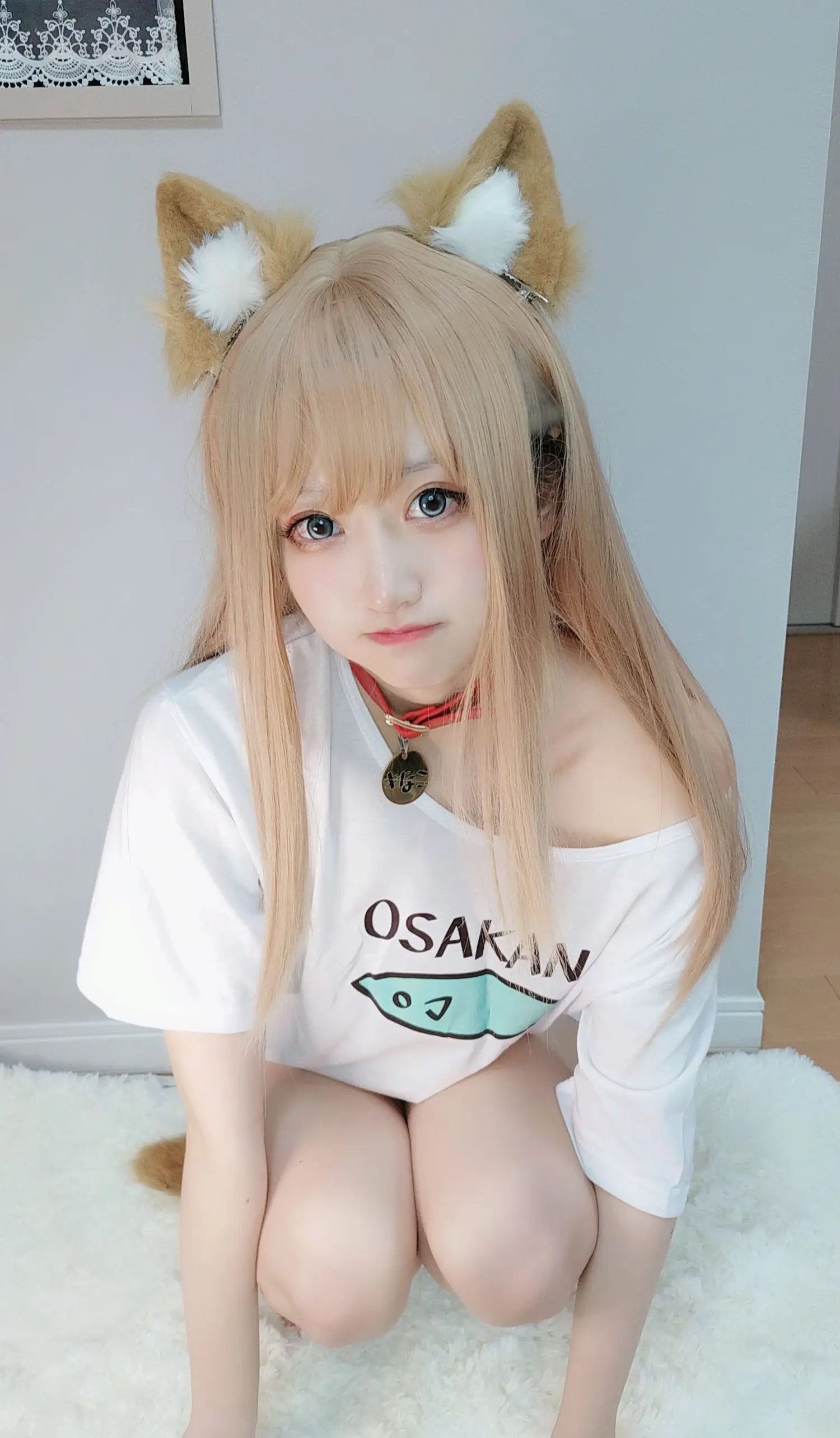 千阳 NO.001 40原设猫猫 NO.0000