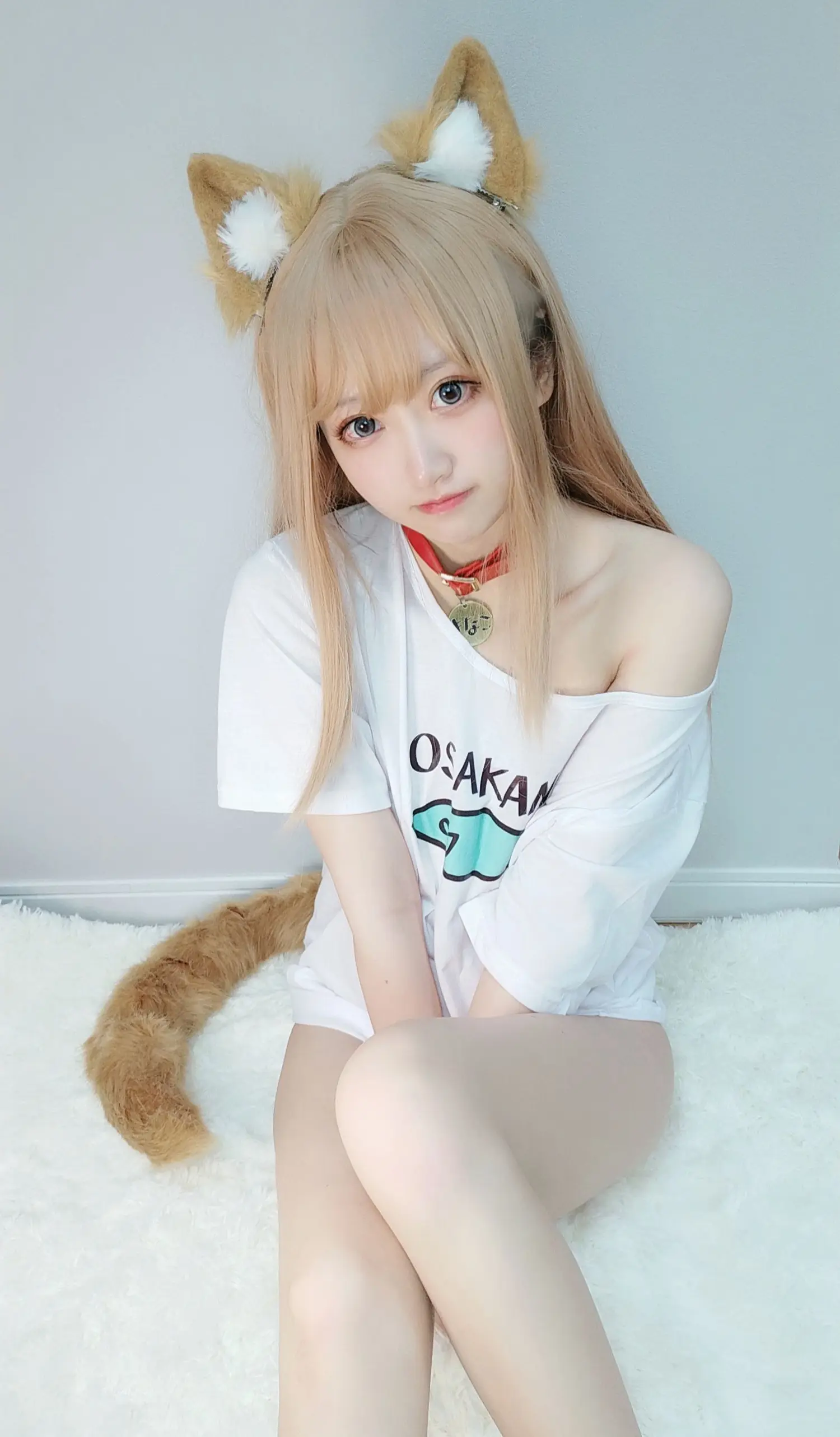 千阳 NO.001 40原设猫猫 NO.0000