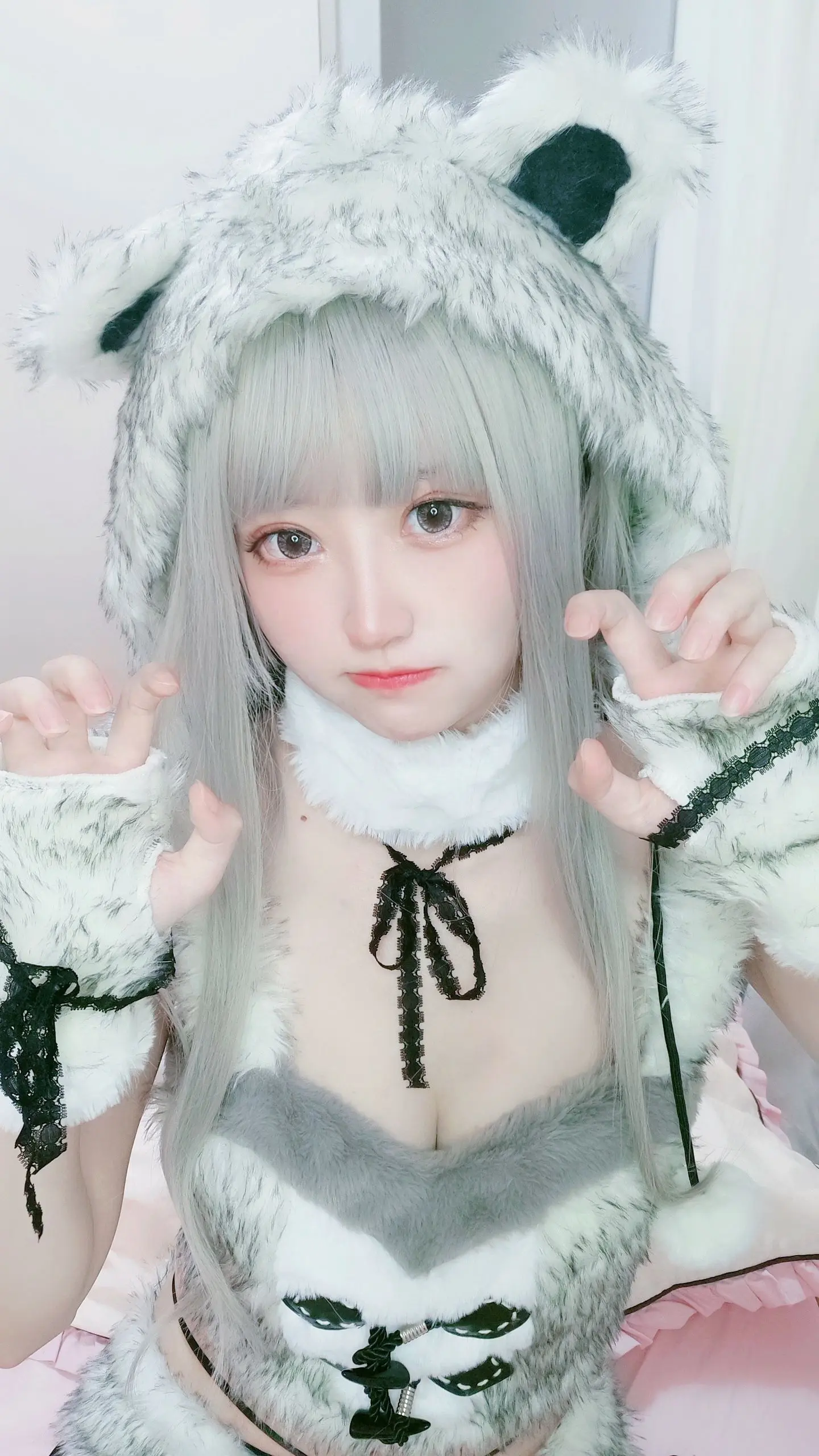 千阳 NO.004 白熊 NO.0000