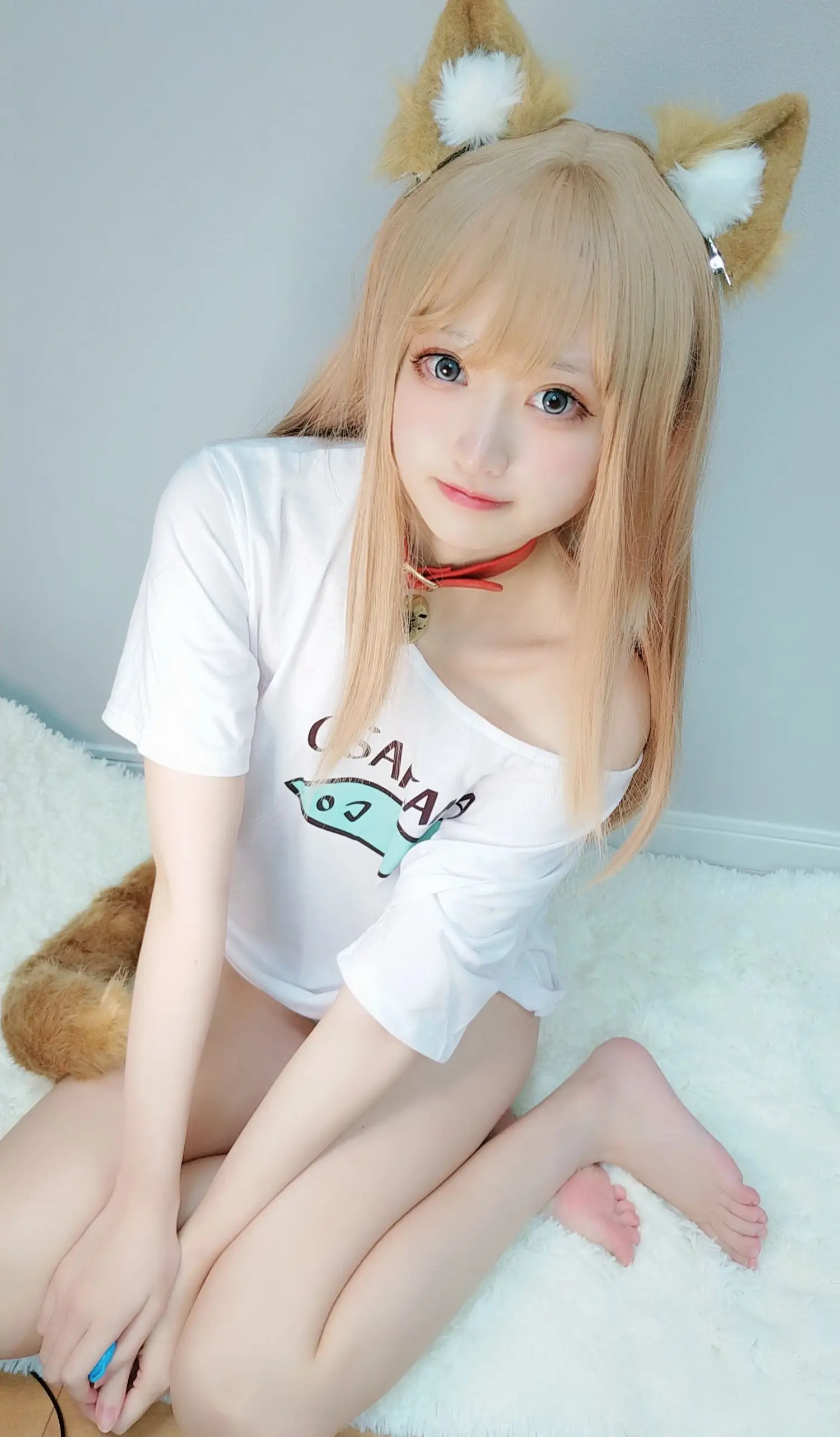 千阳 NO.021 黄豆粉 NO.0000
