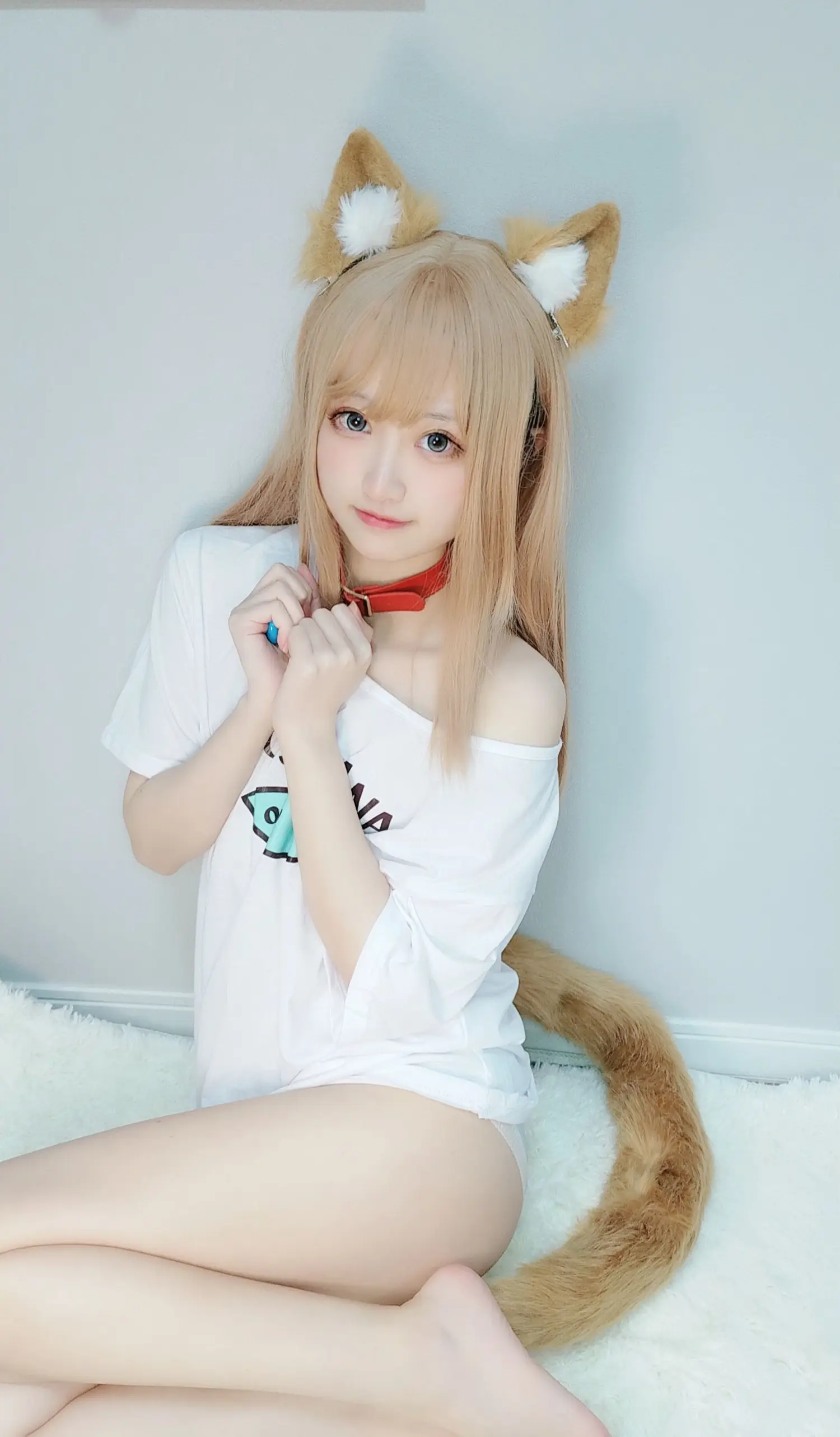 千阳 NO.021 黄豆粉 NO.0000