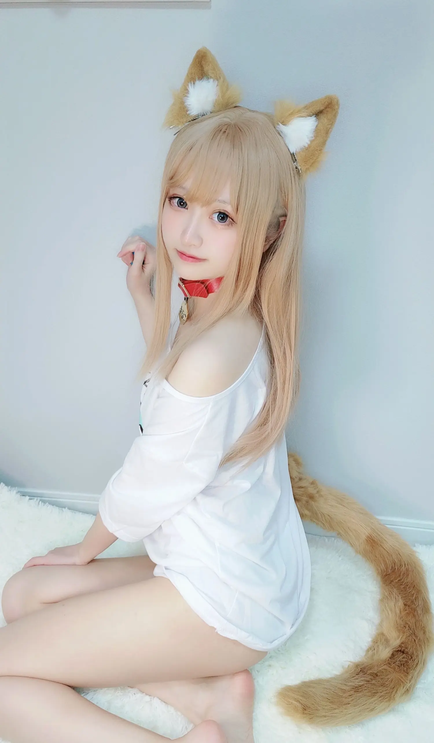 千阳 NO.021 黄豆粉 NO.0000