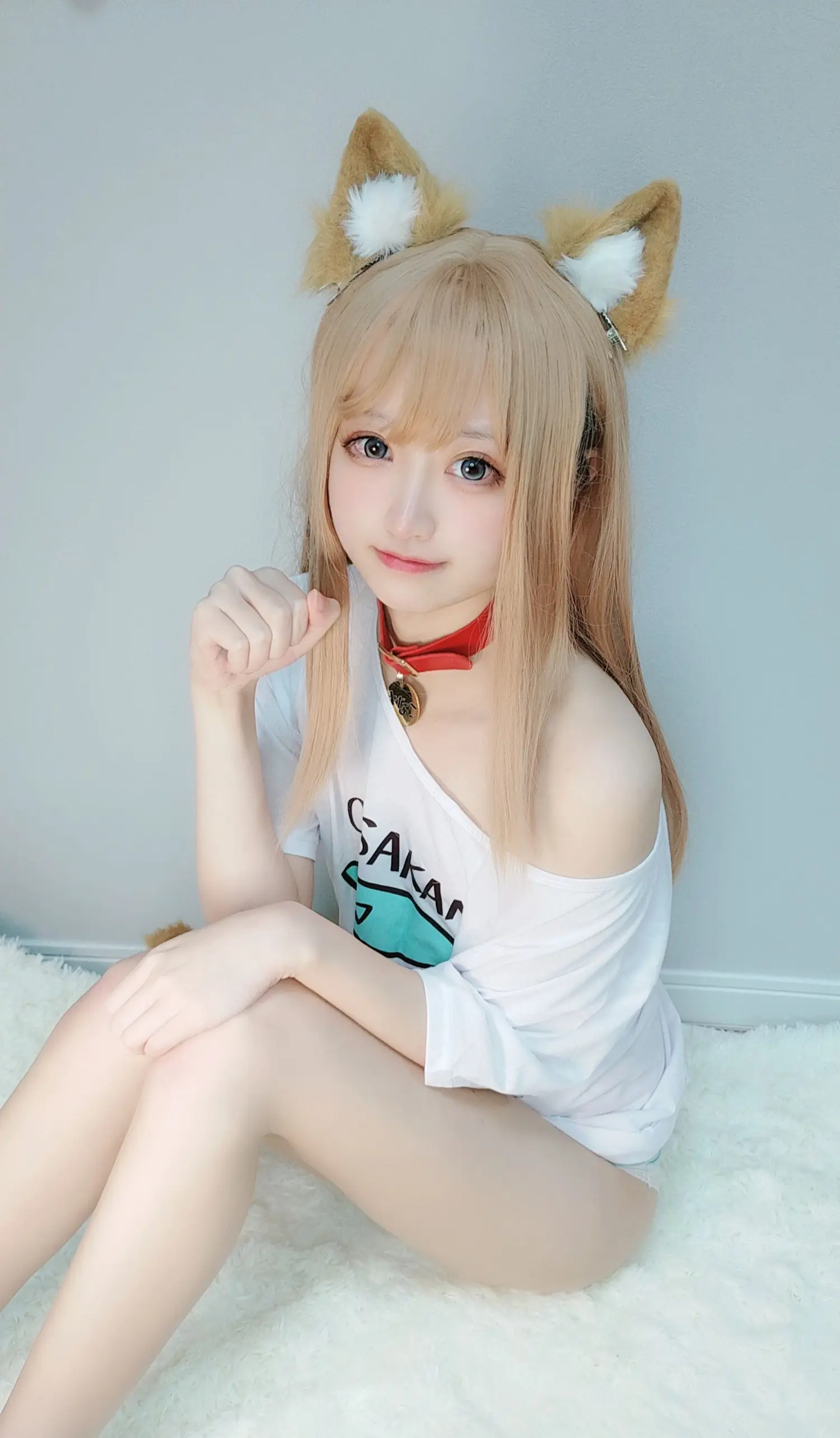 千阳 NO.021 黄豆粉 NO.0000