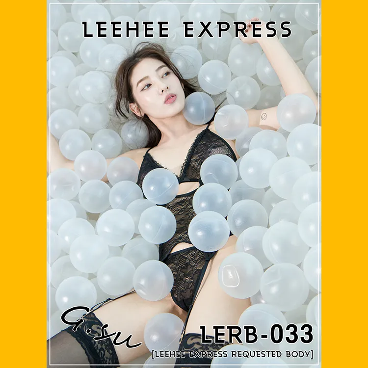 Gsu NO.036 LERB-033 NO.0000