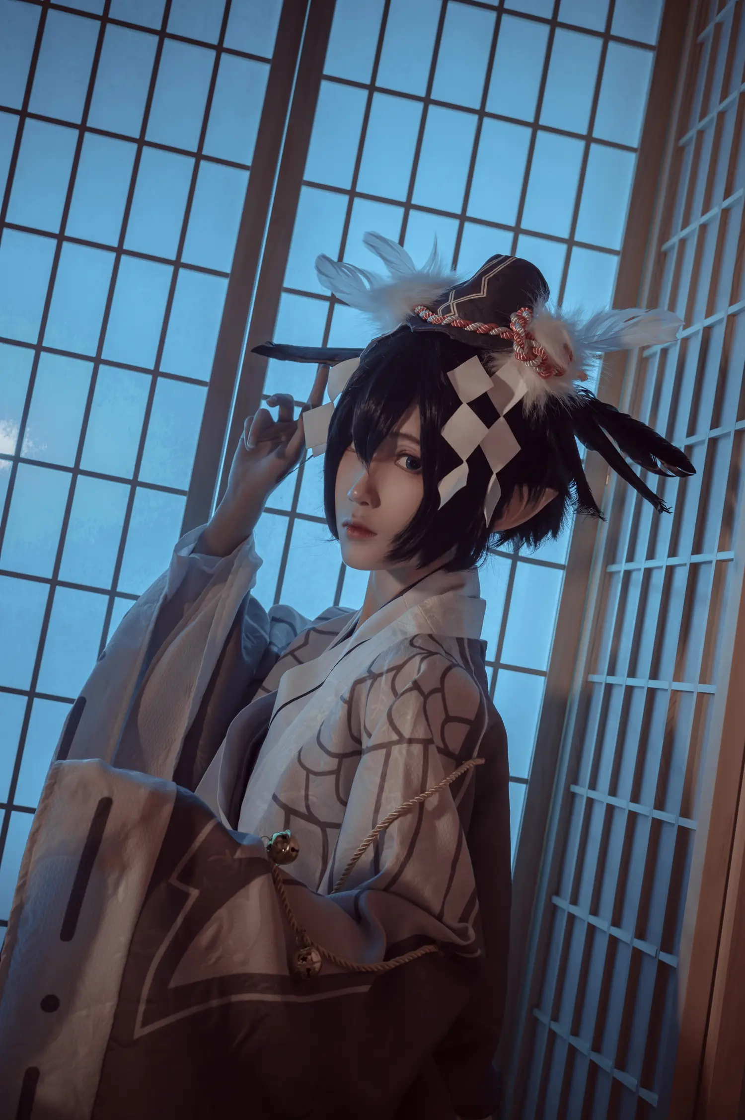妖君白研 NO.003 凹凸世界雷狮和风雷卡 NO.0000