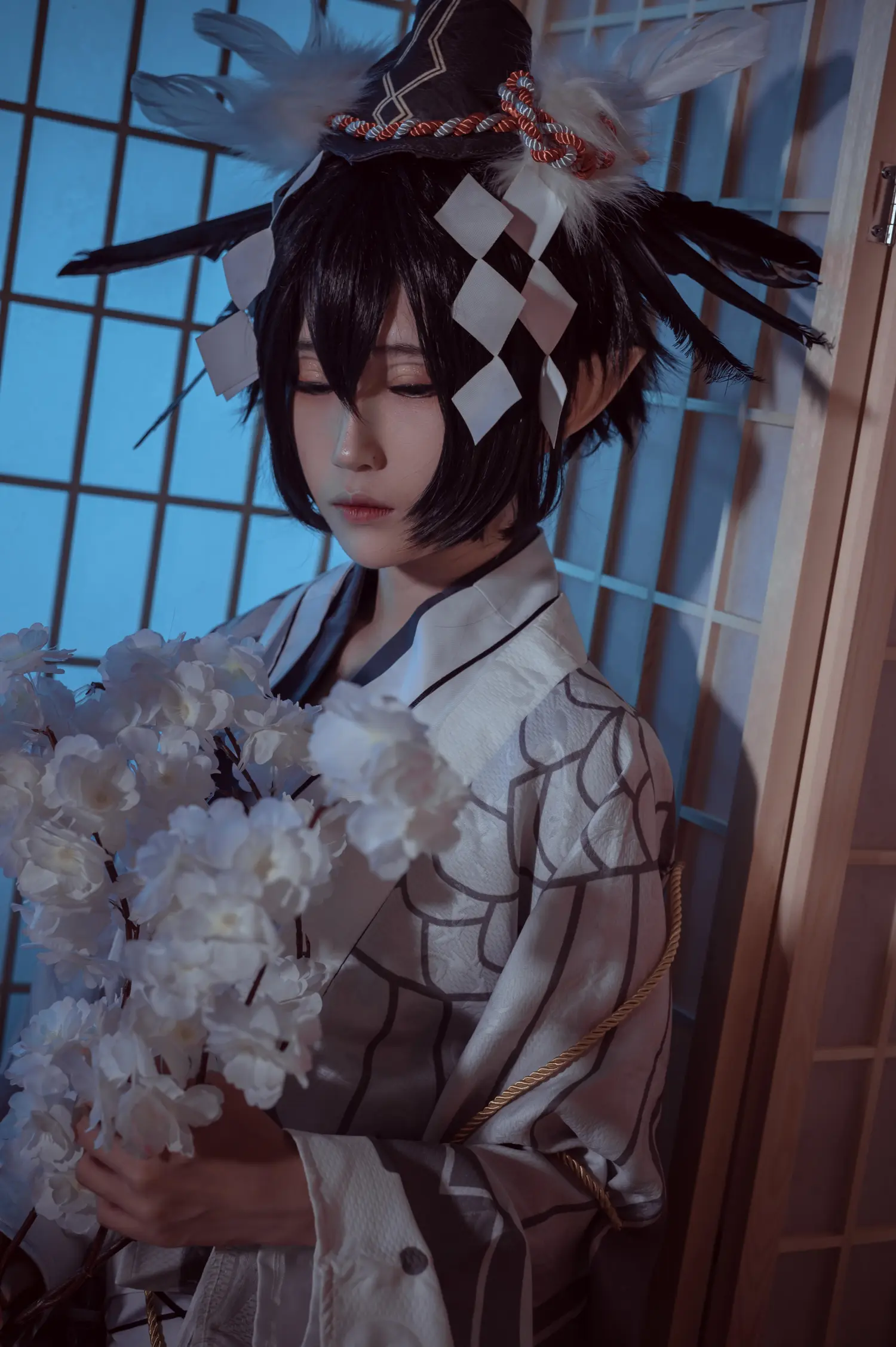 妖君白研 NO.003 凹凸世界雷狮和风雷卡 NO.0000