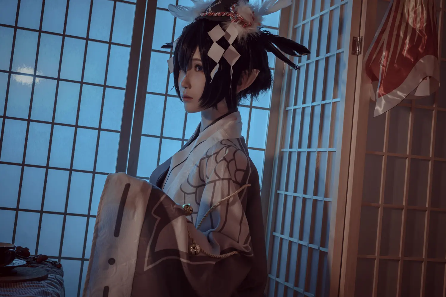 妖君白研 NO.003 凹凸世界雷狮和风雷卡 NO.0000