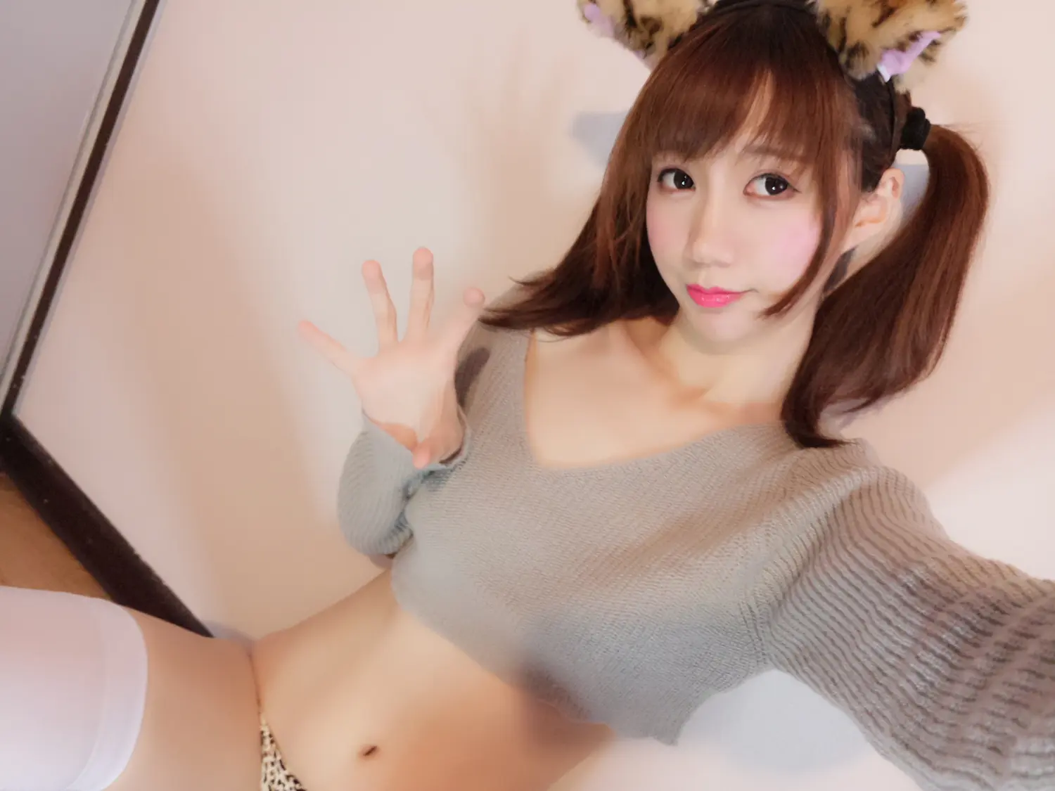 魔物喵 NO.071 肉をたくさん食べられる動物 NO.0000