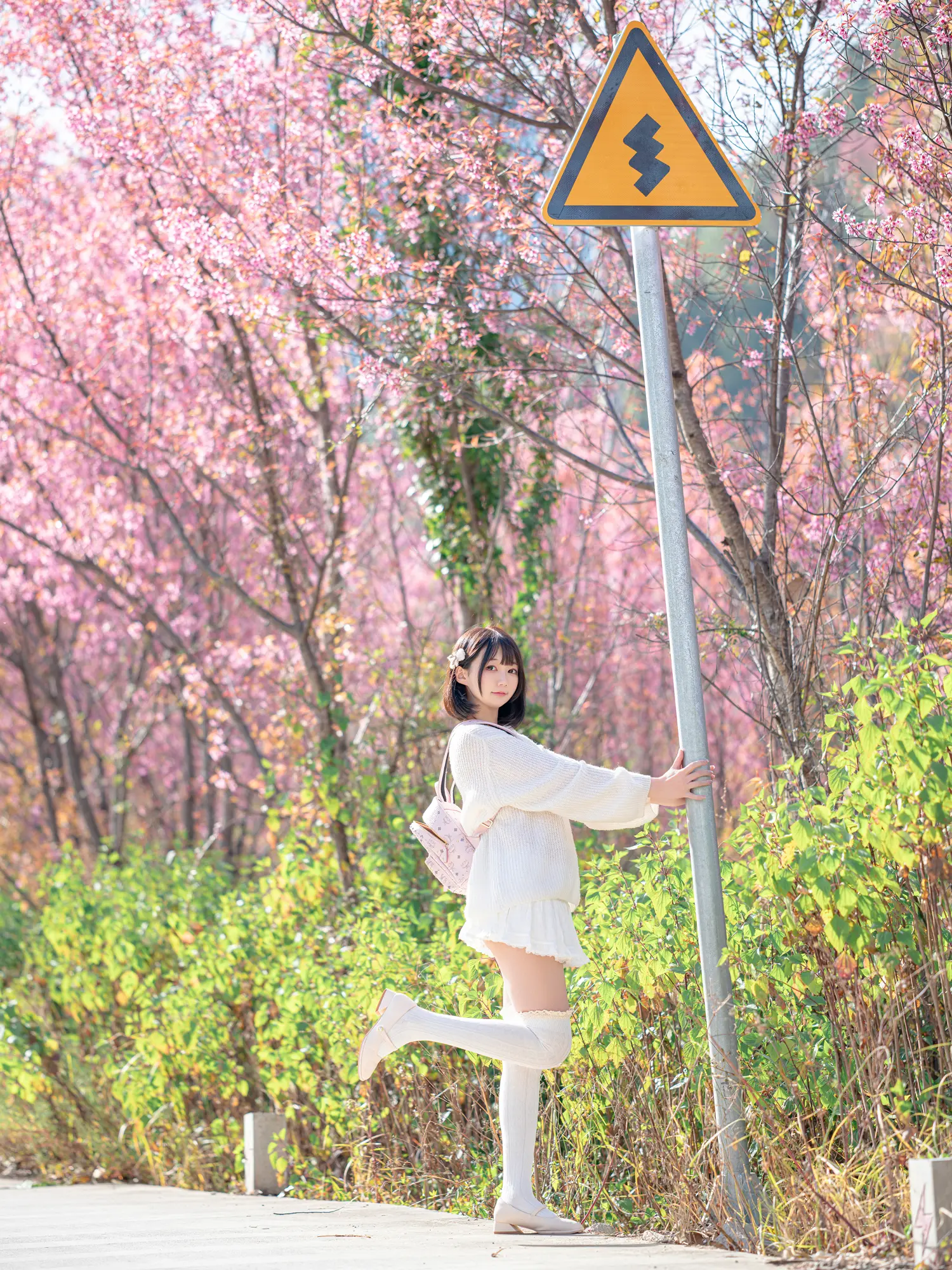 魔物喵 NO.101 桜 NO.0000