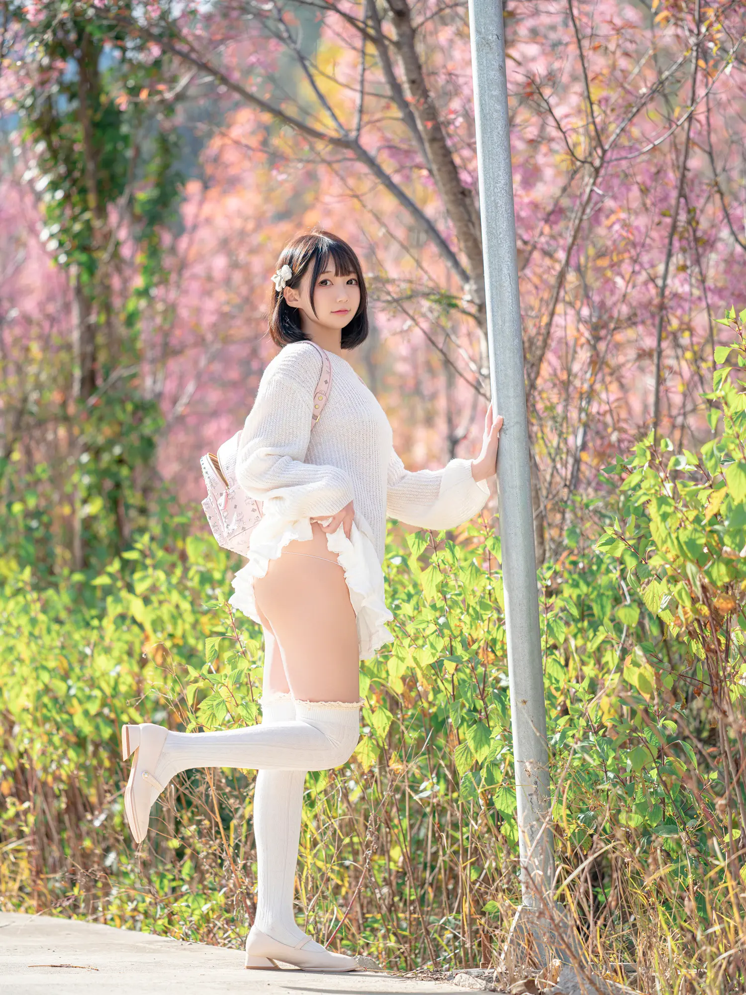 魔物喵 NO.101 桜 NO.0000