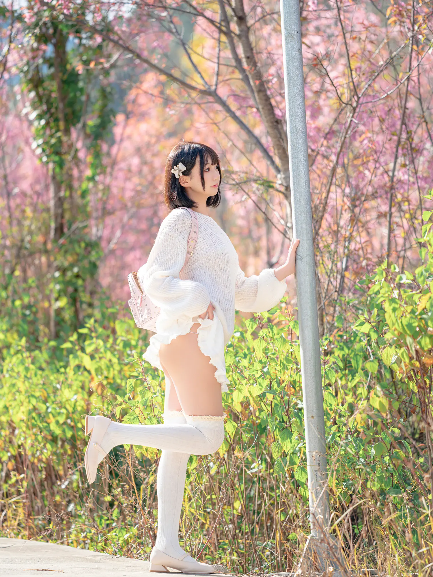 魔物喵 NO.101 桜 NO.0000