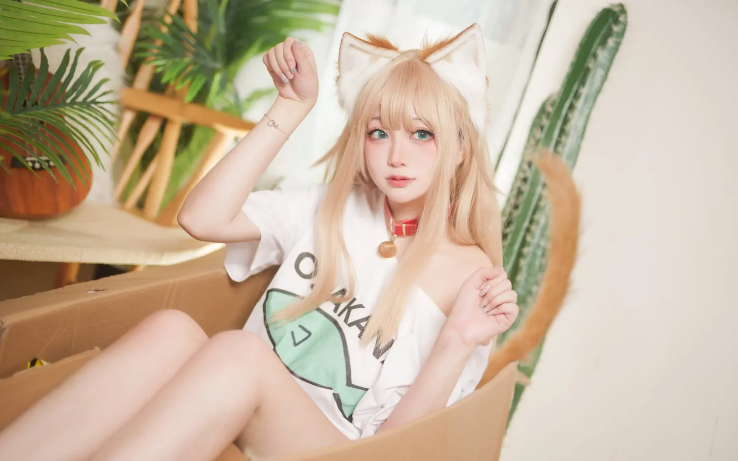 Halo_酱 NO.003 黄豆粉 NO.0000